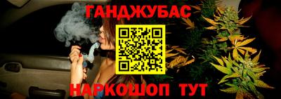 эйфоретик Гай
